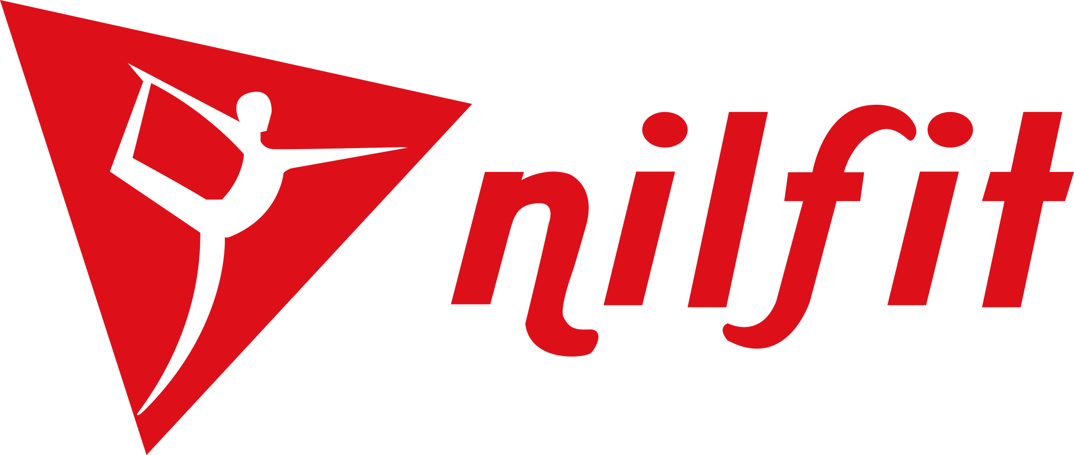 NİLFİT